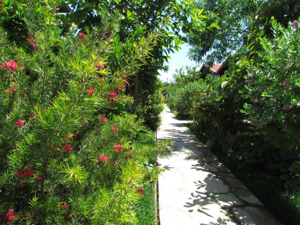 Cinderella Pension & Bungalow Çıralı Εξωτερικό φωτογραφία